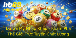 A Ga My Nhap Khau Kham Pha The Gioi Truc Tuyen Chat Luong Tu Hb88