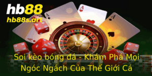 Soi Keo Bong A Kham Pha Moi Ngoc Ngach Cua The Gioi Ca Cuoc